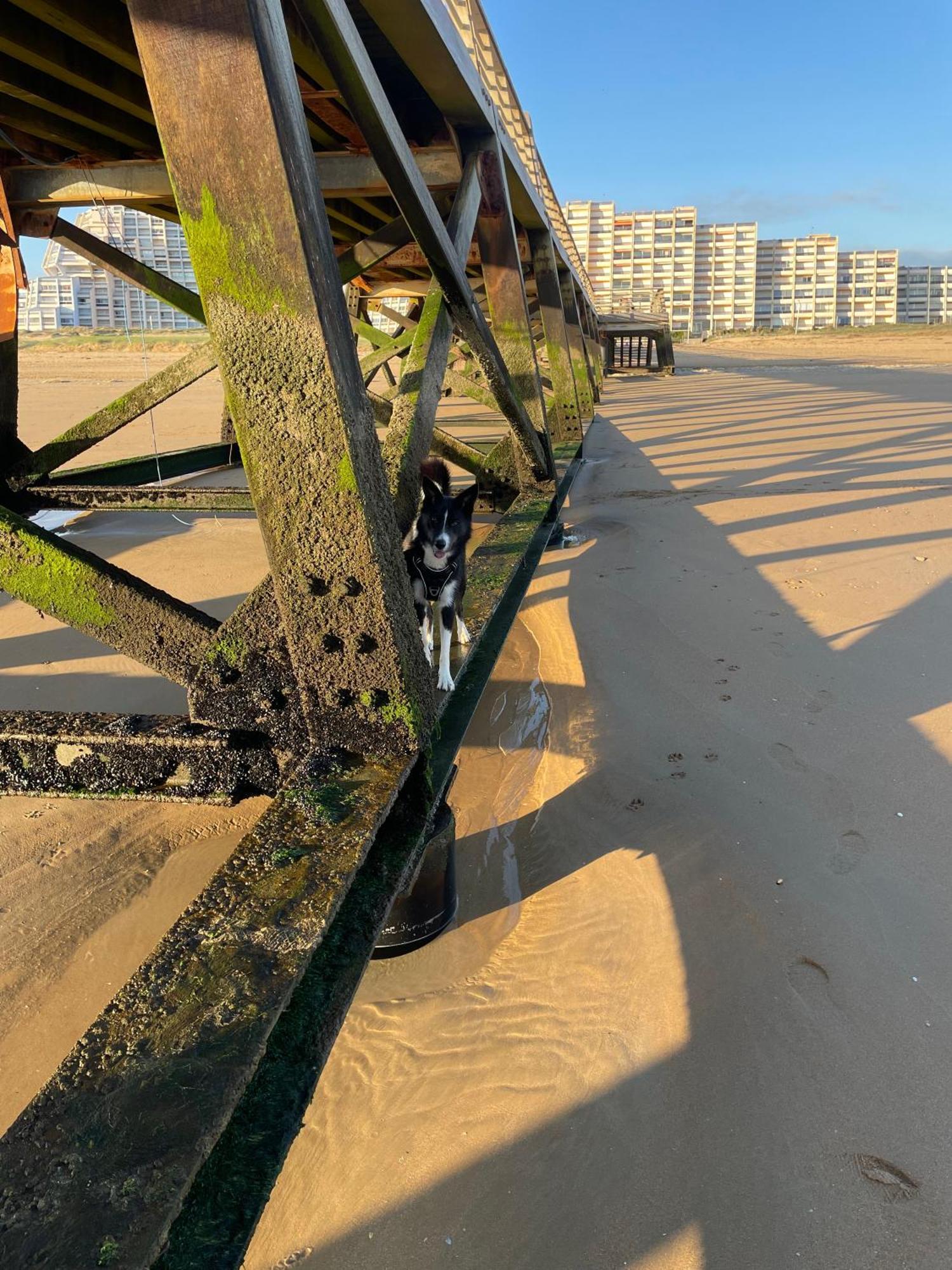 סנט-אילר-דה-רייה The Spot - 200M De La Plage מראה חיצוני תמונה